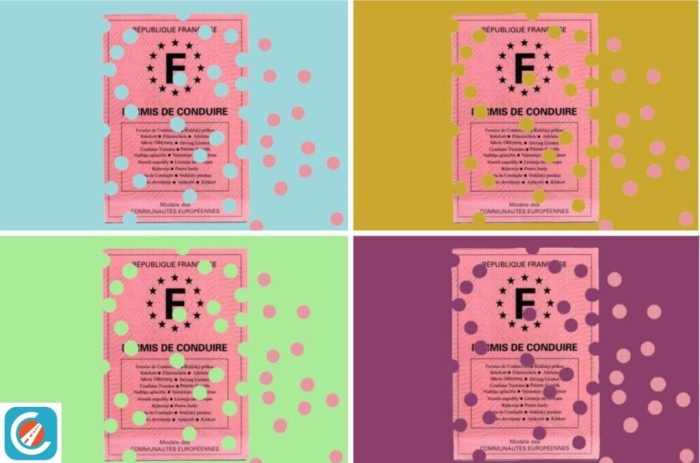 Comment consulter le solde de points sur votre permis ?